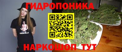 СК Лесосибирск