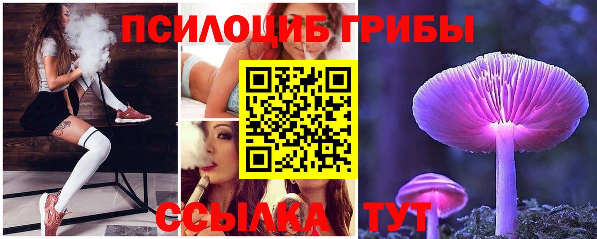 Десногорск  Псилоцибиновые грибы GOLDEN TEACHER  Псилоцибиновые грибы мухоморы  Вход с VPN 